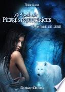 Télécharger le livre libro Pierre De Lune